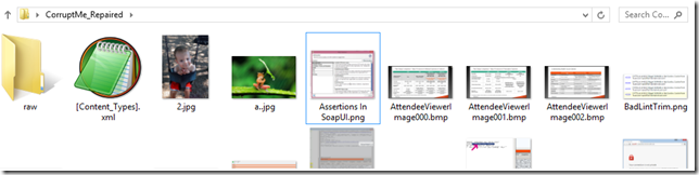 Windows Explorer View
